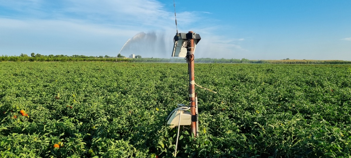 L'irrigazione è gestita con un'ottica di precision farming